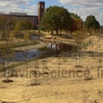 Stream restoration at Goodyear world headquarters