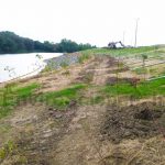 Constructing a Living Shoreline