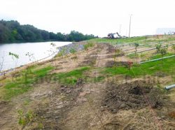 Constructing a Living Shoreline