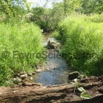 Stream restoration, Aurora OH