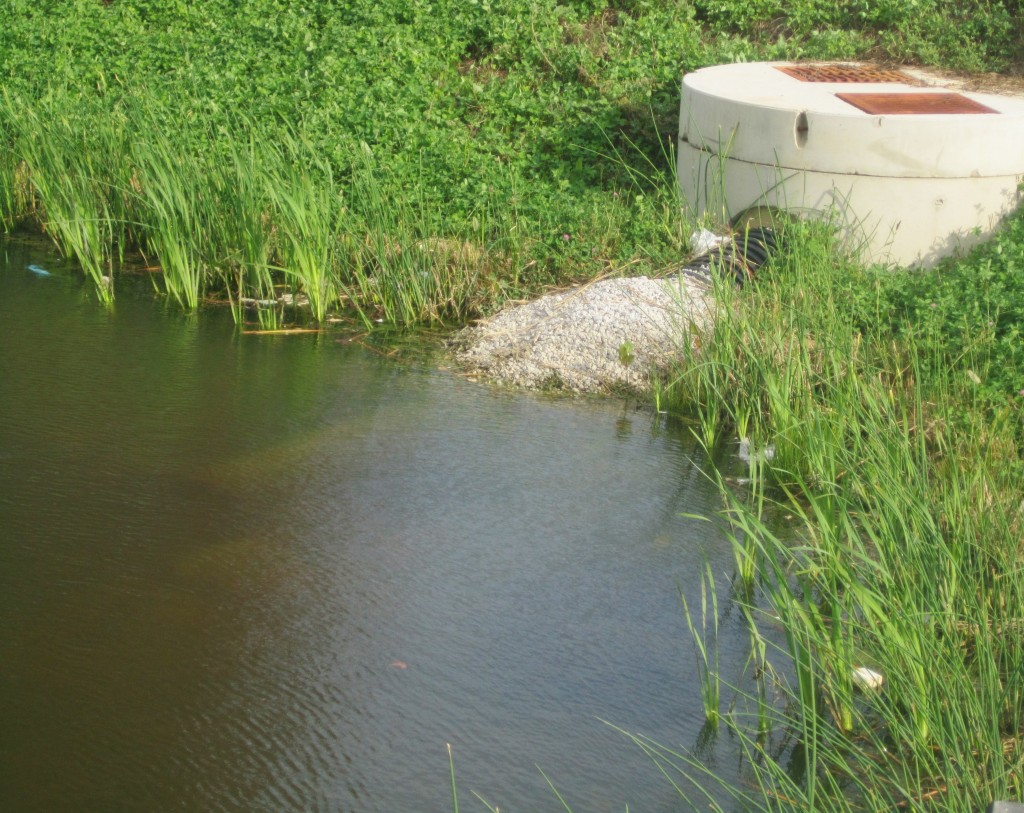 Retention Pond EnviroScience EnviroScience