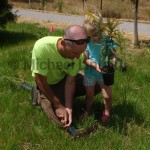 Volunteer Planting, Haley's Run, Ohio