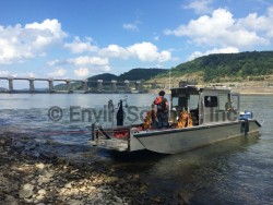 Endangered Mussel Diving