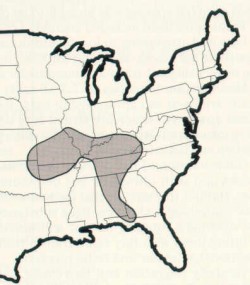 Gray Bat Range