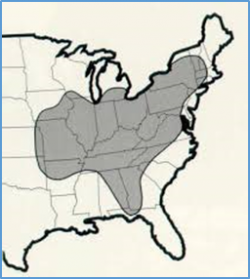 Endangered Indiana Bat Range