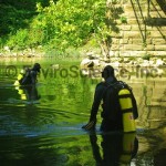 Bridge demolition_mussel survey