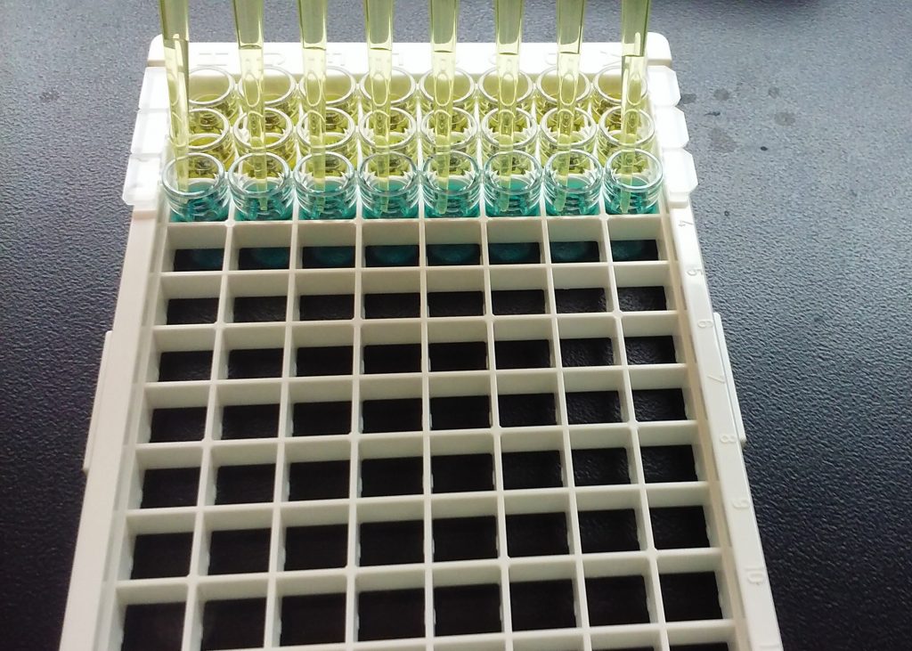 Algae Identification, Analysis, and Lab Services - EnviroScience ...