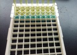 ELISA algal toxin testing