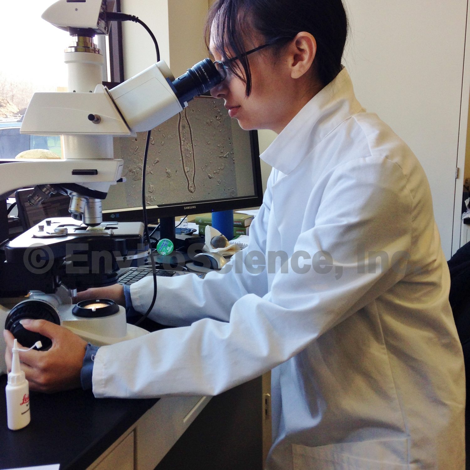 Algae Identification, Analysis, and Lab Services - EnviroScience ...