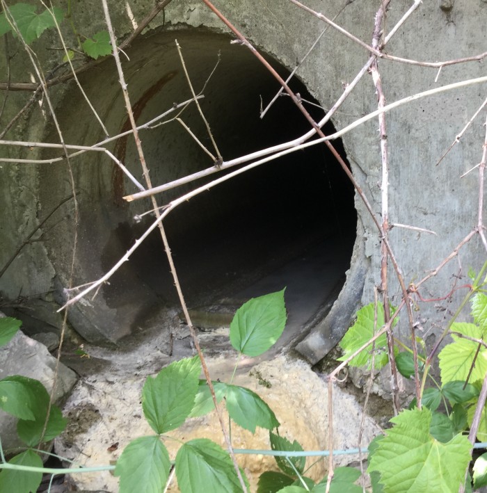 Stormwater Outfall from an Industrial Facility