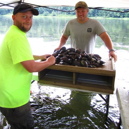 EnviroScience_Mussel_Collecting