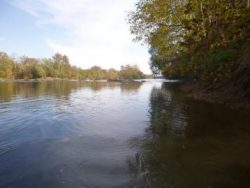 ames River Mussel Survey and Relocation