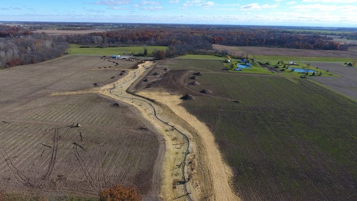 Black Swamp Wetland & River Restoration