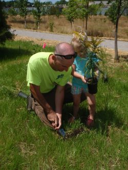 ecological restoration