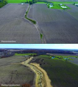 ecological restoration
