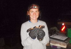 EnviroScience Bat Ecologist Mary Gilmore