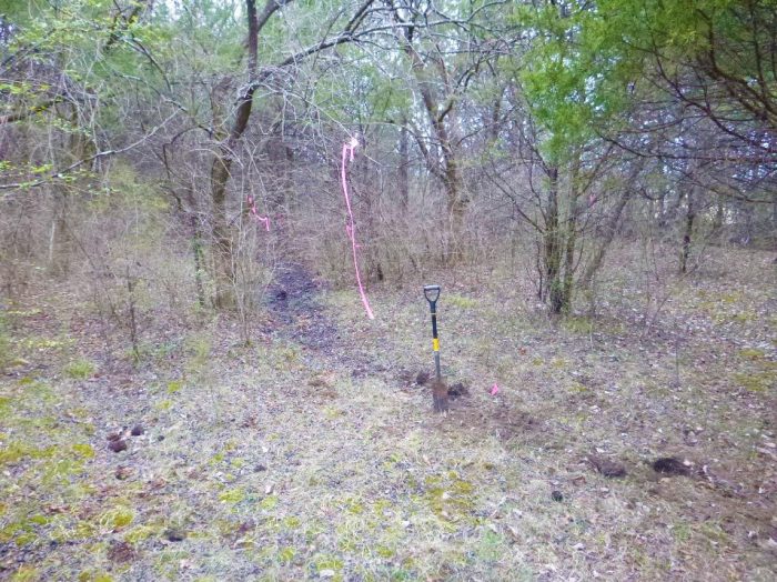 wetland delineation