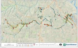 Map of Three Mile Creek in Mobile, Alabama