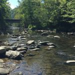 Biological assessment on discharge from the City of Gatlinburg's wastewater treatment plant on the West Prong Little Pigeon River