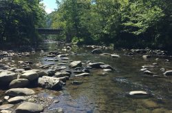 Biological assessment on discharge from the City of Gatlinburg's wastewater treatment plant on the West Prong Little Pigeon River