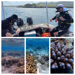 EnviroScience Divers Conduct Intensive Coral Reef Survey in Guam