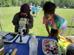 Promising future biologists examine macroinvertebrates under a microscope at Akron Waterways Renewed's Blue Heron Homecoming event
