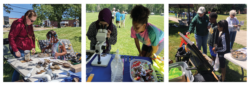 EnviroScience Aims to Make Diversity, Equity, and Inclusion a Priority