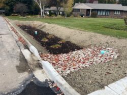 An SWPPP bioretention cell drains roadway water and filters pollutants