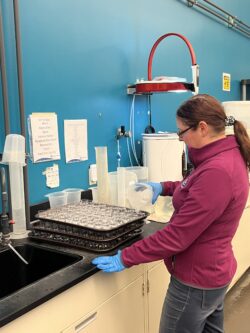 EnviroScience Laboratory Technician performs specialized toxicity testing