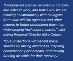 USFWS Quote About ESA Protections, Recovery, and Preservation