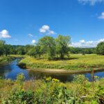 EnviroScience Restoration Work at Valley View