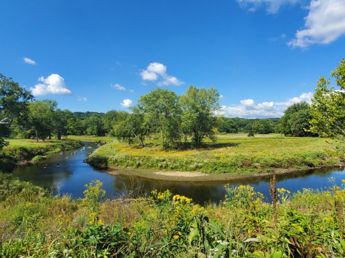 EnviroScience Restoration Work at Valley View