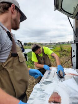 EnviroScience Aquatic Biologists Brad Bartelme and Nicole Stolic Performing Fieldwork