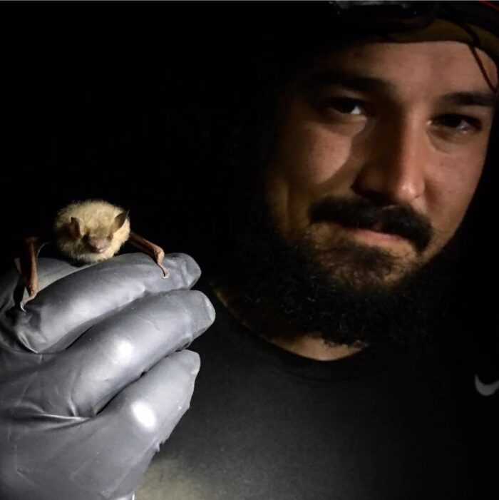 EnviroScience Ecologist & Bat Project Manager Luke Fultz
