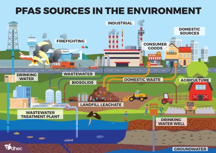 Everyday sources of PFAS that contribute to human exposure. Source: SCDHEC
