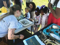 EnviroScience's booth at the 2024 Arbor Day Celebration event in Franklin, TN, captivated young minds through interactive displays with live aquatic organisms, mussel shells, and field equipment.