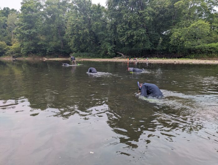 EnviroScience Malacologists Perform Mussel Survey