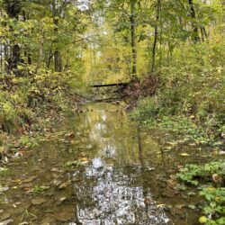 EnviroScience ecological restoration experts lead the design-build team for the Darrow Road Stream Restoration Project.