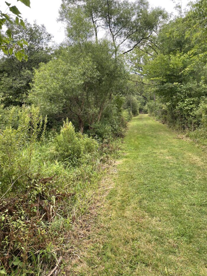 EnviroScience ecological restoration experts lead the design-build team for the Darrow Road Stream Restoration Project.