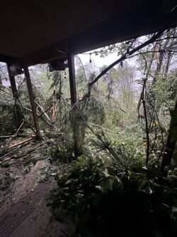 Hurricane Helene's Impact on EnviroScience Staff in North Carolina