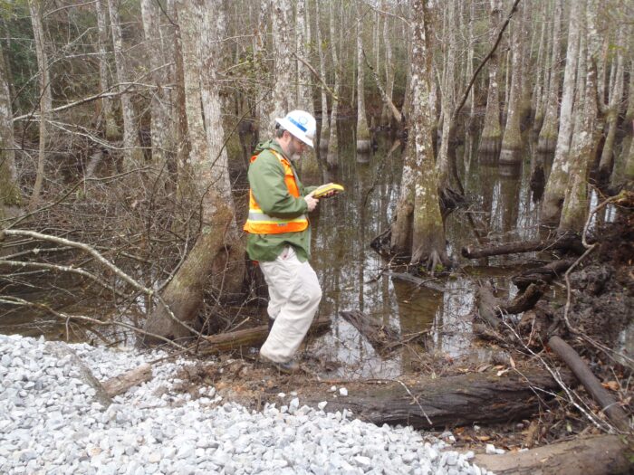 Environmental consultant conducting wetland delineation survey in forested wetland, supporting NEPA permitting efforts.