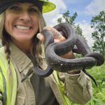 EnviroScience Herpetologist Stacy Foster in the Field