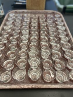 EnviroScience NELAP-Certified Laboratory Toxicity Testing on C. dubia
