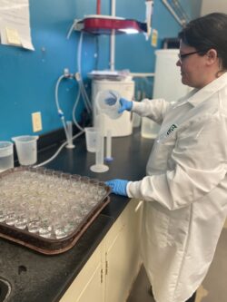EnviroScience NELAP-Certified Laboratory Toxicity Testing Technician