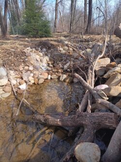 EnviroScience's Ecological Restoration Team Provides Ecological Uplift through Coldwater Stream & Habitat Restoration at Veterans Legacy Woods