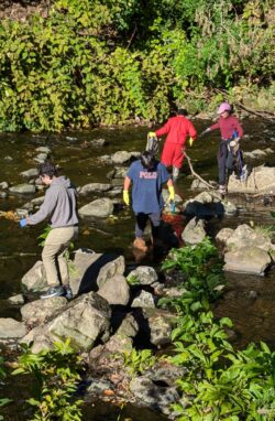 Volunteers Participate in EnviroScience's Corporate Responsibility Committee-led Biannual Little Cuyahoga River Cleanup Event