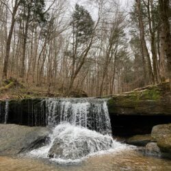 EnviroScience Expertise in Wetlands and Streams