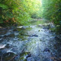 EnviroScience Wetland Expertise: Stream Delineation