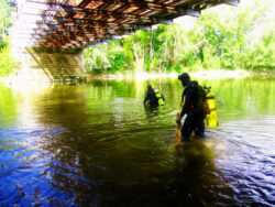 EnviroScience malacologists perform freshwater mussel survey