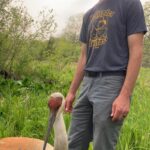 EnviroScience Herpetologist Rex Everett with Sandhill Crane (Antigone canadensis)
